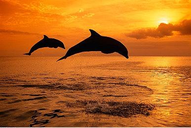 起诉动视暴雪的加州政府同样对拳头公司发起诉讼