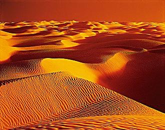 粉丝认为《艾尔登法环：黄金树幽影》是今年年度游戏